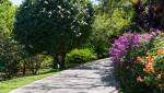 Aménagement d'un jardin en pente avec allée de jardin en pierre - Nantes 44