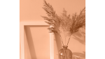 Tendances déco 2024 Haguenau