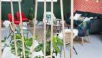 local professionnel chaleureux