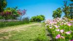  Aménagement d'un jardin en pente avec allée de jardin et massif de fleurs - Nantes 44