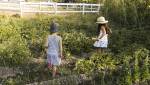 Aménager un jardin en pente avec un potager en terrasses - Valence 26