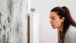 Lutter contre une maison humide