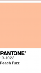 pantone