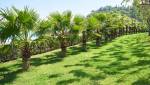 Aménagement d'un jardin en pente - Valence 26