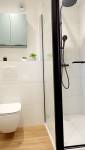 WC suspendu et douche avec receveur extra plat 