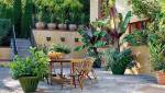Terrasse plantes