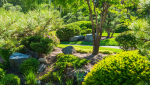 Aménagement de jardin en pente