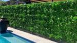 haie végétale artificielle