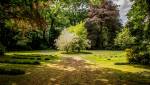 Arbres