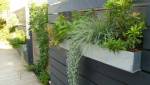 Clôture végétalisée