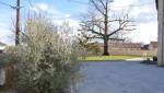 Allée de jardin en pavés - Pornic 44