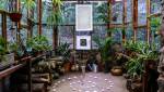Jardin d'hiver avec beaucoup de végétaux
