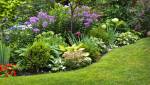 massifs fleurs jardin