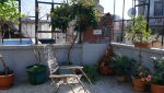 Terrasse en béton