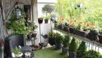 Balcon terrasse fleurs plantes