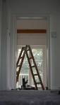 rénovation 