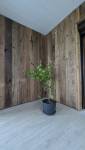 pose loggia dans une maison