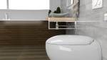 WC suspendus forme oeuf