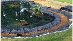 installation plantes aquatiques