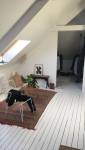 renovation chambre sous les combles nogent sur marne 94130 6