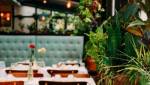 Brasserie