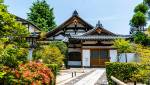 Jardin japonais traditionnel 