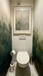réno toilettes Châtel