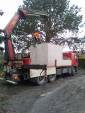 travaux jardin