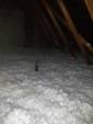 Travaux d'isolation de combles perdus par épandage de flocons de laine de verre - Ambérieu-en-Bugey 01500