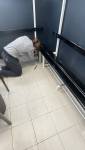 Travaux en cours