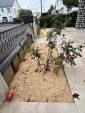 Aménagement paysager après travaux de rénovation extérieure - Nantes 44