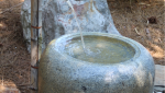 Bassin d'eau