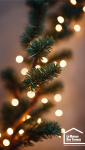 guirlande lumineuse branche sapin