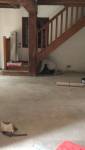 Salon en cours de rénovation Yvelines