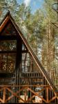 Maison en bois toute noire dans la forêt