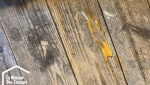  AVANT travaux lame parquet existante détériorée
