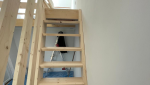 Remplacement escalier