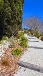 Allée de jardin fleuri La Maison Des Travaux Ales