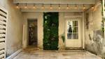 Rénovation cour intérieure mur végétal La Maison Des Travaux Nîmes