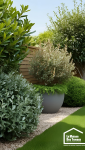 jardin facile entretien avec graviers et plantes