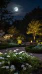 Jardin nocturne Noisy-le-Grand