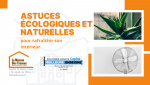 Adoptez des astuces écologiques à Dreux pour rafraîchir votre intérieur naturellement avec des plantes et une ventilation adaptée.