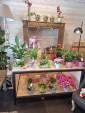 Travaux de décoration d'une boutique de fleurs - Ambérieu-en-Bugey 01500