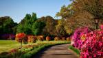Aménagement jardin Chantilly