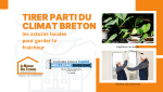 Ventilation naturelle à Quimper : confort d’été sans clim grâce aux astuces de La Maison Des Travaux Quimper.