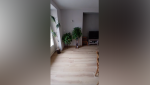 Rénovation maison - salon