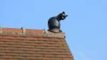 Chat de faîtage en céramique sur toiture tuilée