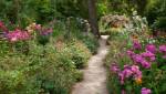 Jardin sauvage avec allée gravillonnée et belles fleurs des champs