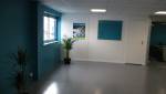 Rénovation d’un local professionnel à TERNES 
