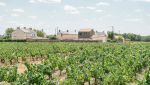 Création d'une surélévation à Vertou - vue sur le vignoble